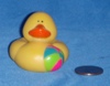 beachball Duck