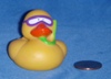 Snorkle Duck