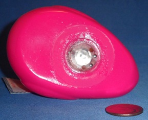 Bath and Body Works Small Flasser Bright Pink Bottom