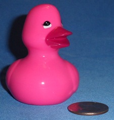 Bath and Body Works Extra Small Pink Front