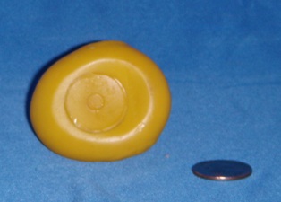 Classic Yellow Extra Small Bottom