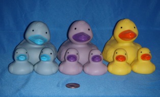 Duck Families
