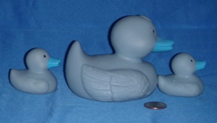 Family Ducks Blue Side
