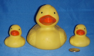 Family Ducks Yellow Front