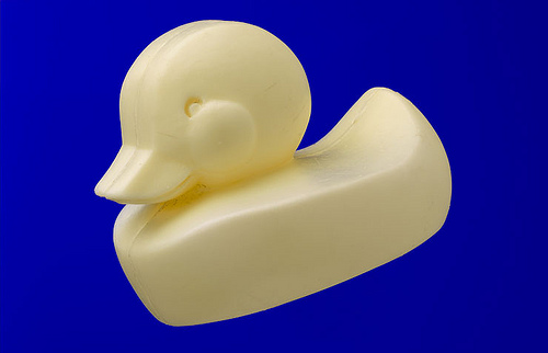 First Year Duck First Year Duck
