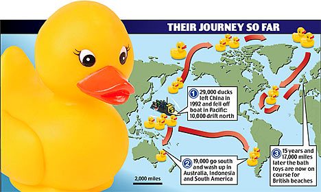 First Year duck map First Year duck map