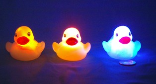 Flashing Ducks