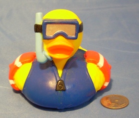 Snorkel