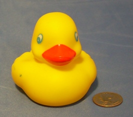 plain Yellow Duck