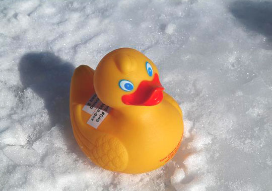 NASA Duck NASA Duck