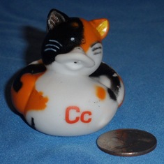 O.T.C. C Front