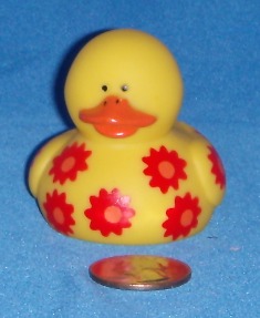 O.T.C. Daisy Red Front