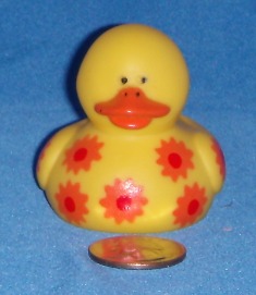 O.T.C. Daisy Orange Front