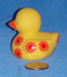 O.T.C. Daisy Orange right Side