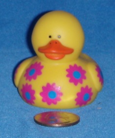 O.T.C. Daisy Purple Front