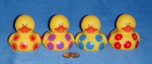 O.T.C. Daisy