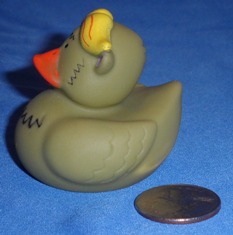 O.T.C. Y right Side