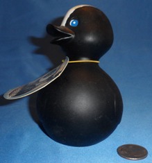 Duckscent Front